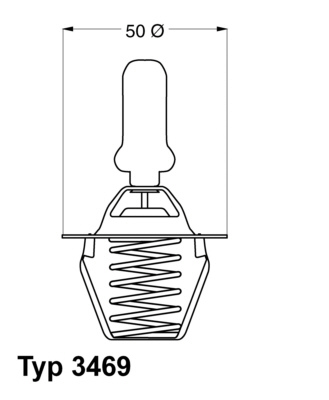 Termostat lichid racire