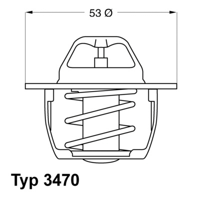 Termostat lichid racire