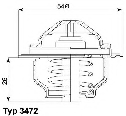 Termostat lichid racire
