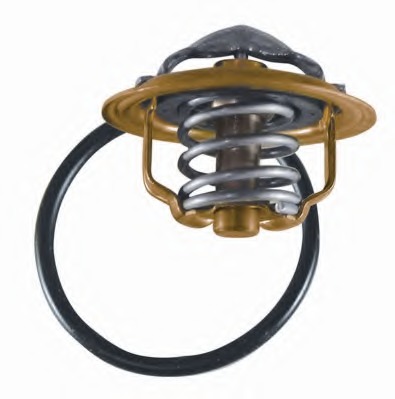 Termostat lichid racire