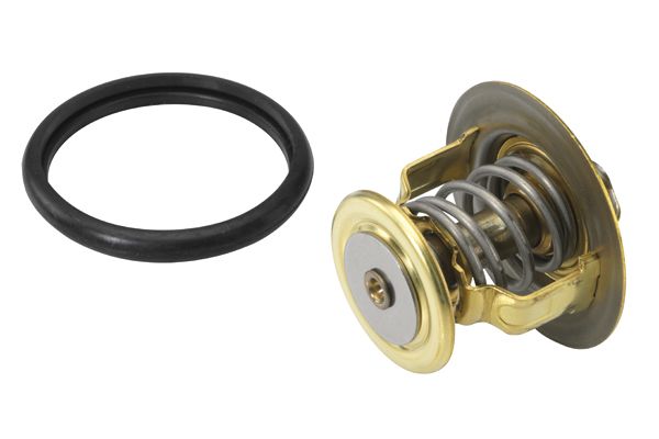 Termostat lichid racire