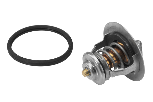 Termostat lichid racire