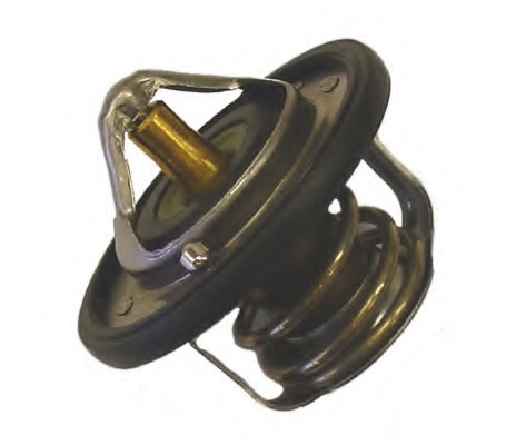 Termostat lichid racire