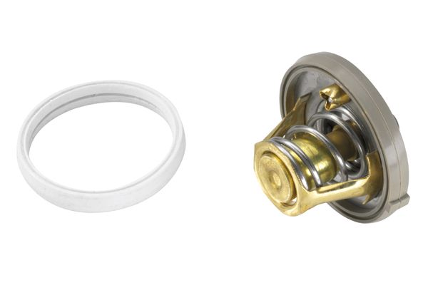 Termostat lichid racire