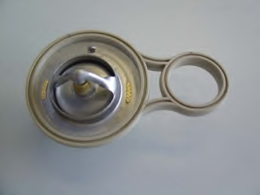 Termostat lichid racire