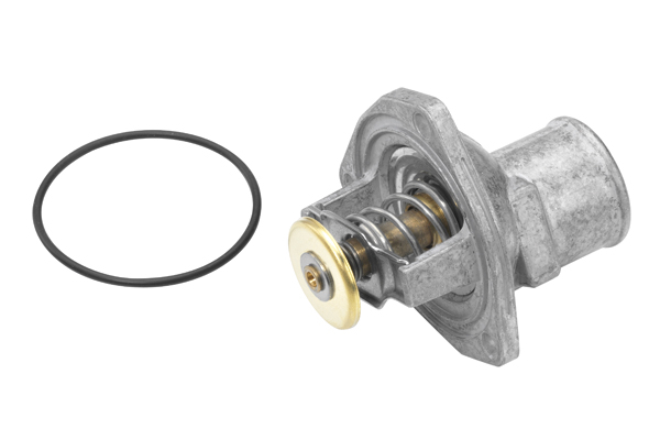 Termostat lichid racire