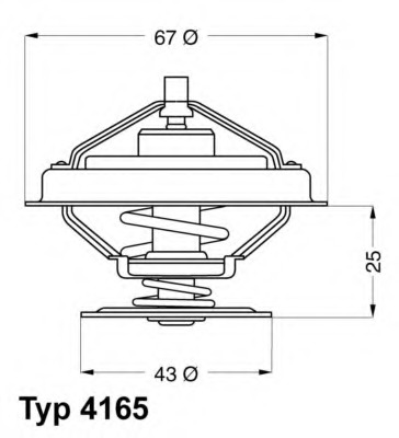 Termostat lichid racire