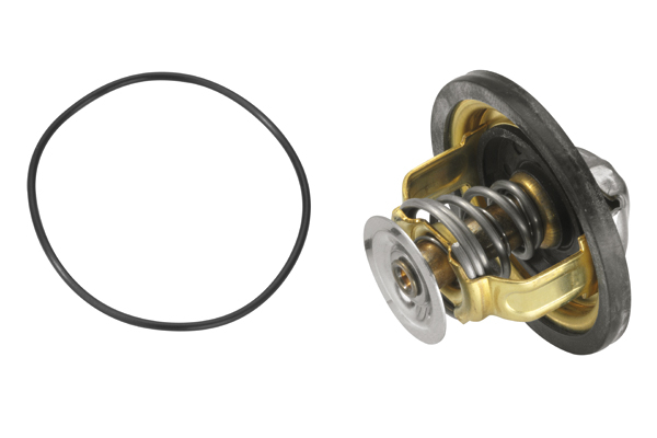 Termostat lichid racire