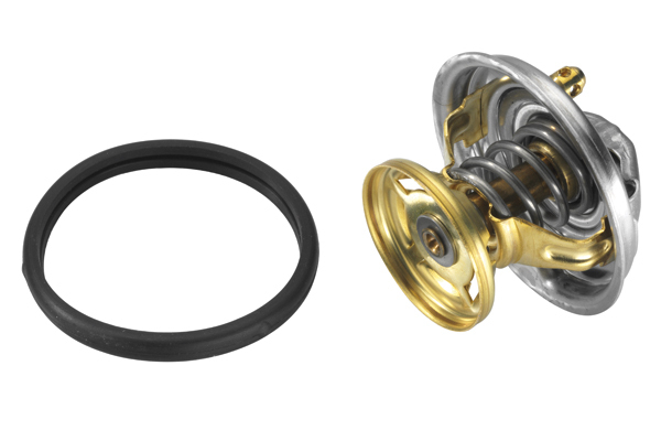 Termostat lichid racire