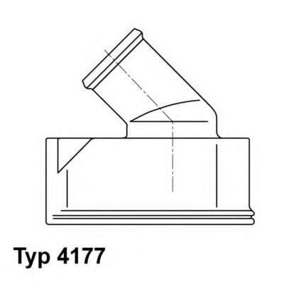 Termostat lichid racire