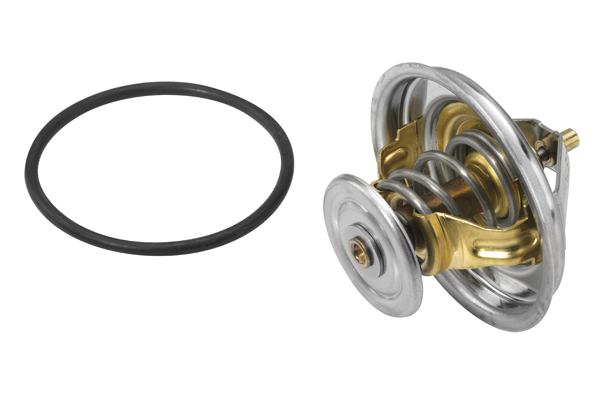 Termostat lichid racire