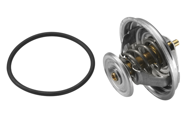 Termostat lichid racire