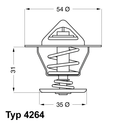 Termostat lichid racire
