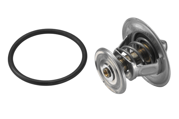 Termostat lichid racire