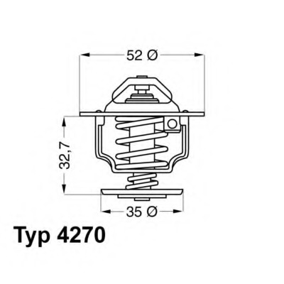 Termostat lichid racire