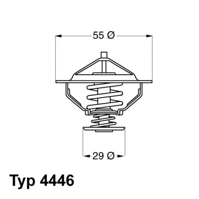 Termostat lichid racire