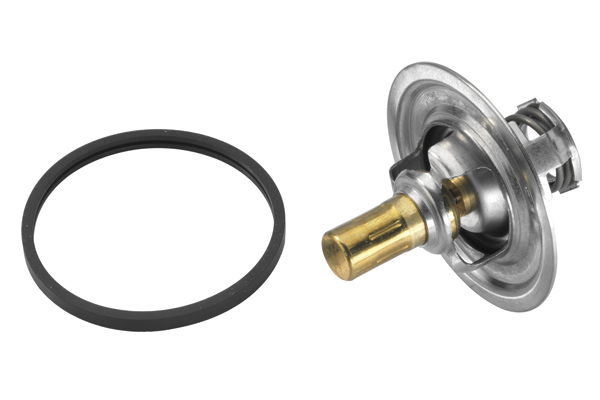 Termostat lichid racire