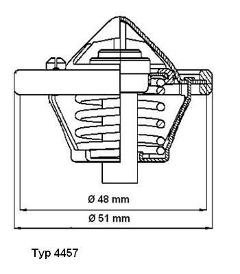 Termostat lichid racire