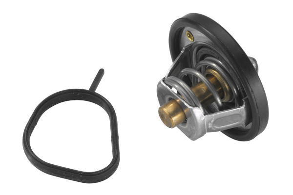 Termostat lichid racire