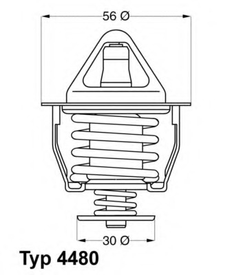 Termostat lichid racire