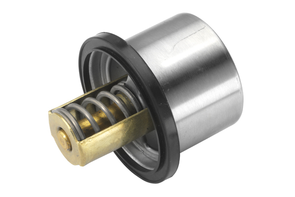 Termostat lichid racire
