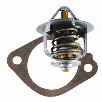 Termostat lichid racire