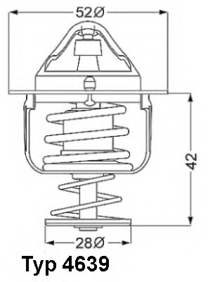 Termostat lichid racire